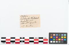 Etikett zu Perlenkette (NHMW-PRAE-025864)